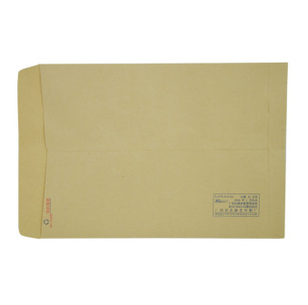 风彩 牛皮纸信封20个装7号纯木浆牛皮信封 邮局专用信封
