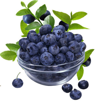 [生态水果] 有机蓝莓水果礼盒1500g