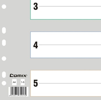 齐心（COMIX）IX901 易分类 五色索引纸 A4 11孔