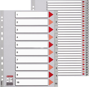 易达(Esselte)PVC数字胶质索引 #56422(100104) A4，每套分1-6