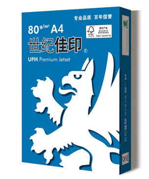世纪佳印 80g 复印纸（5包/箱） A4 白色