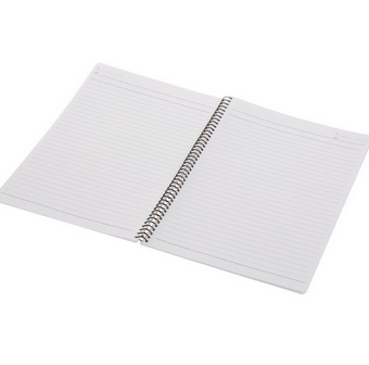 渡边GAMBOL 6号（B5、50页/本）螺旋装订笔记本S6503（179*252mm）杂色1X12本