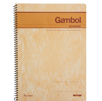 渡边GAMBOL 6号（B5、50页/本）螺旋装订笔记本S6503（179*252mm）杂色1X12本