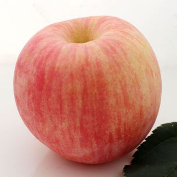 [生态水果] 山东特级金苹果水果礼盒6500g
