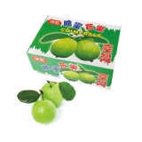 [生态水果] 台湾芭乐水果礼盒3500g