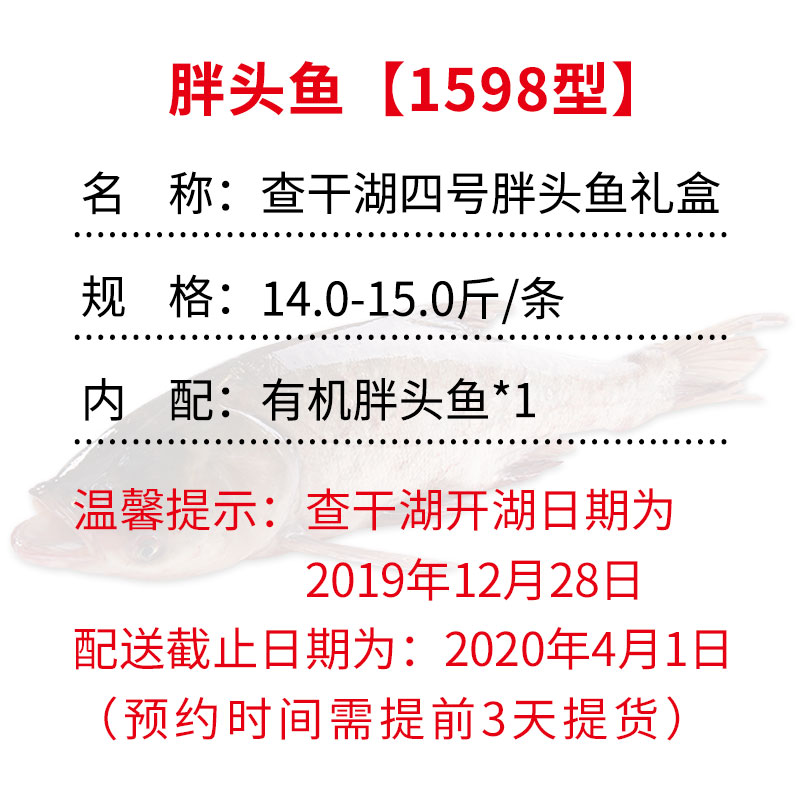 查干湖四号胖头鱼14.0-15.0斤